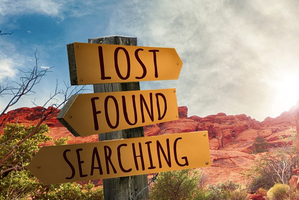 Lost And Found by Amy Shojai